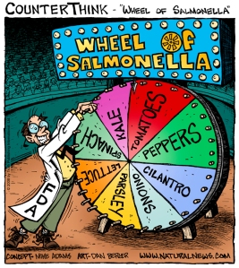 wheel-of-salmonella_6001